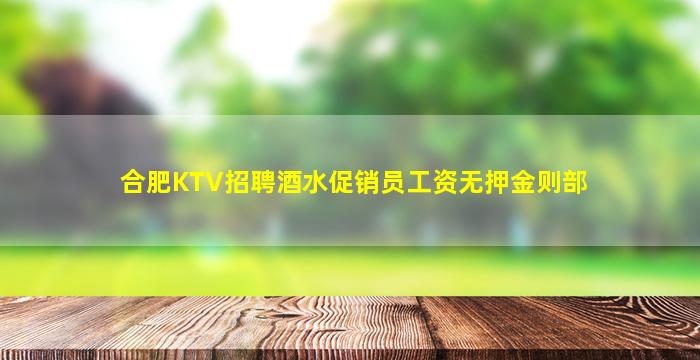 合肥KTV招聘酒水促销员工资无押金则部